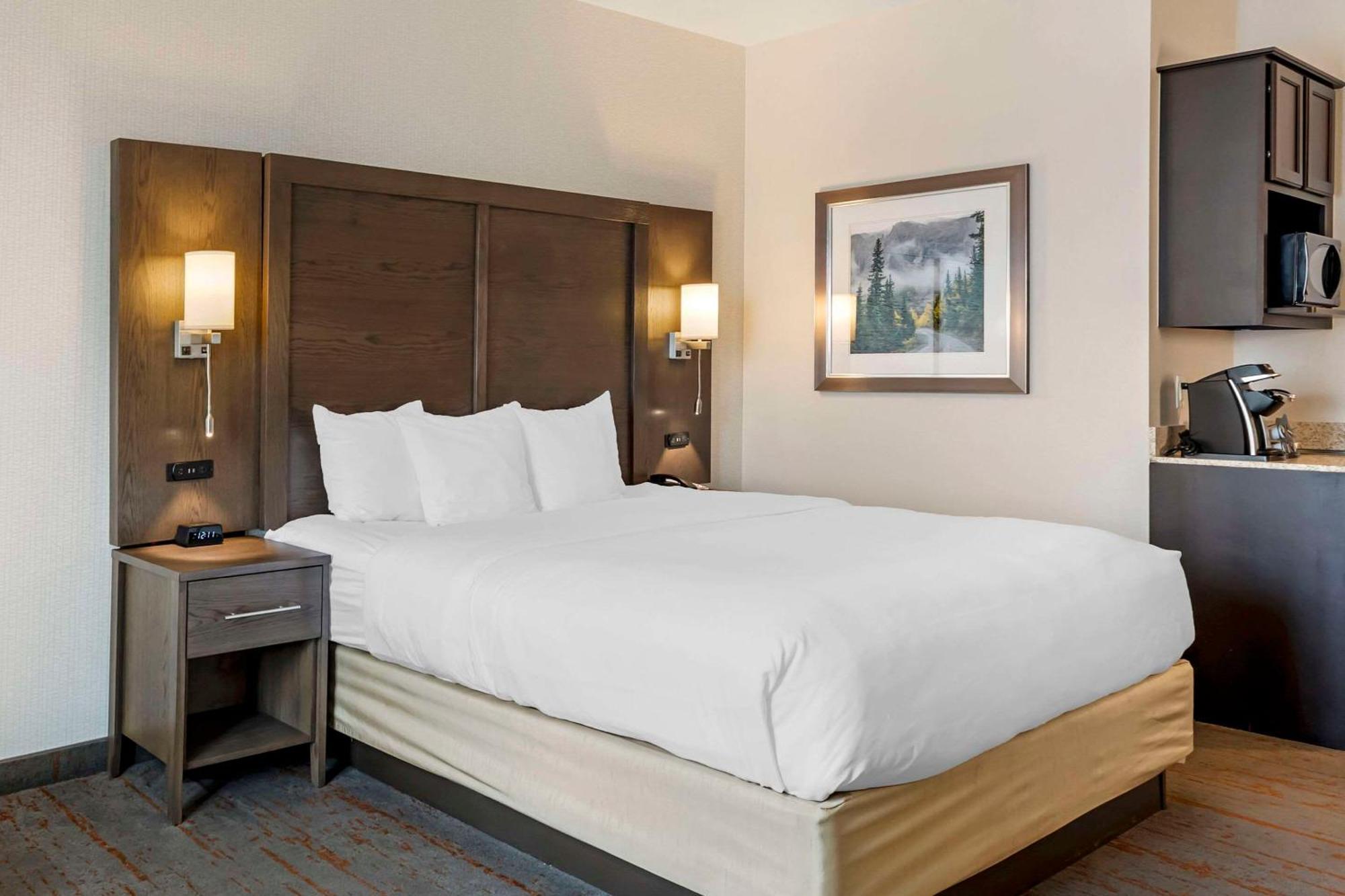 Comfort Inn & Suites Brighton Denver Ne Medical Center Zewnętrze zdjęcie